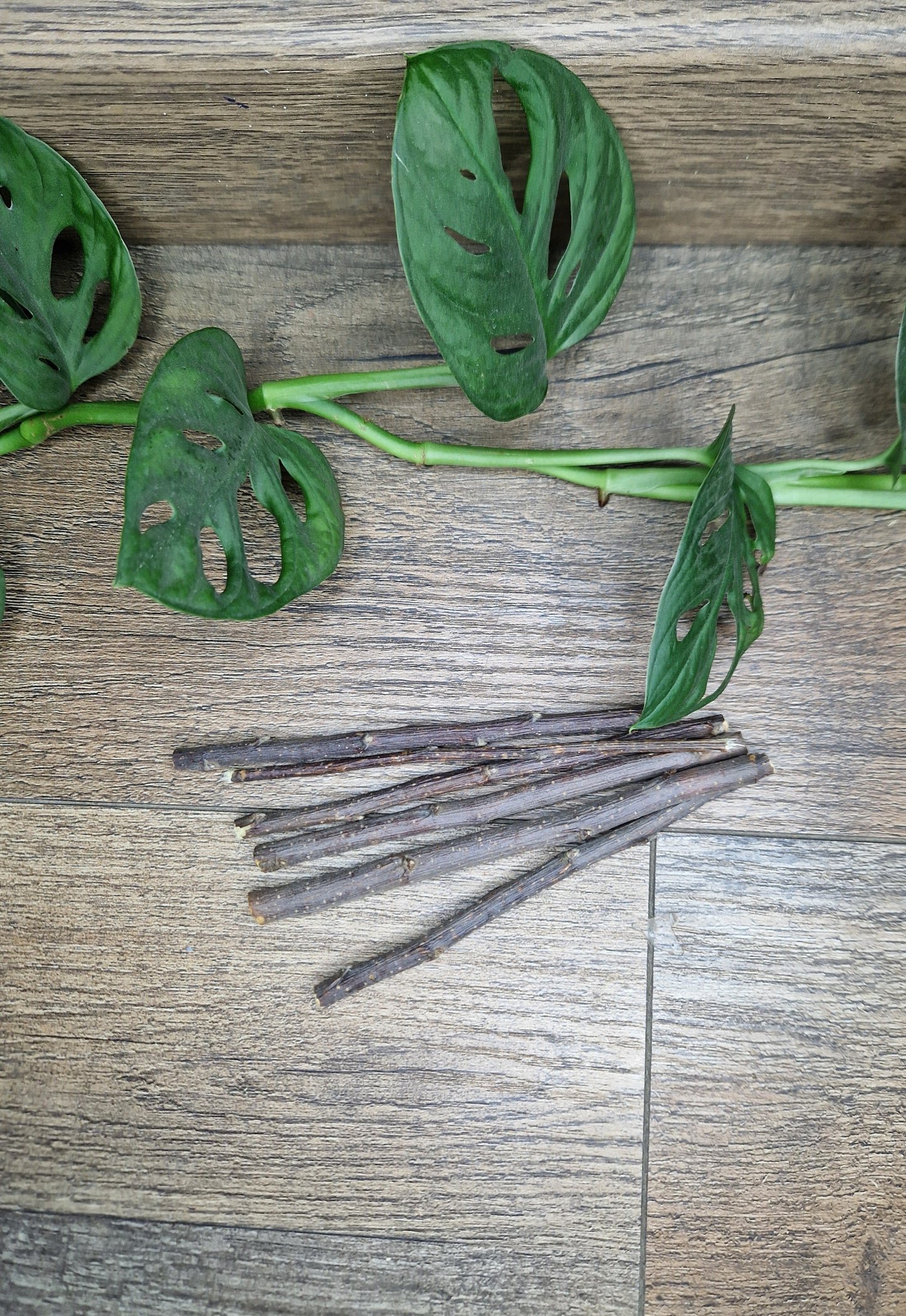 Fagot Bois de pommier