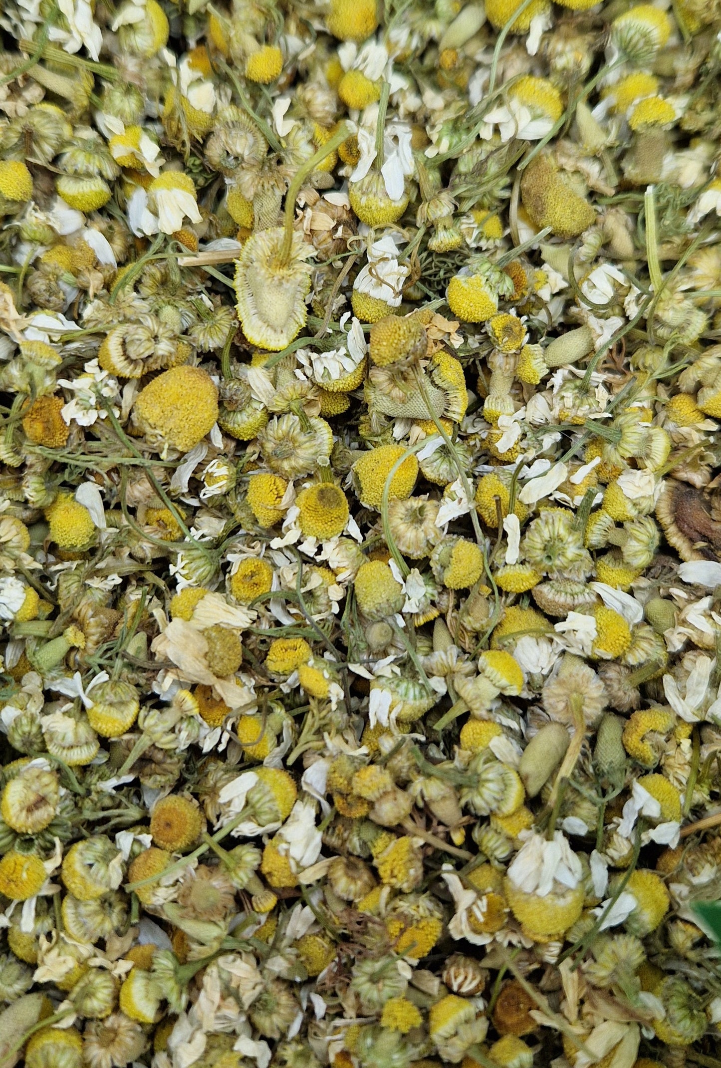 Fleurs de camomille 100g