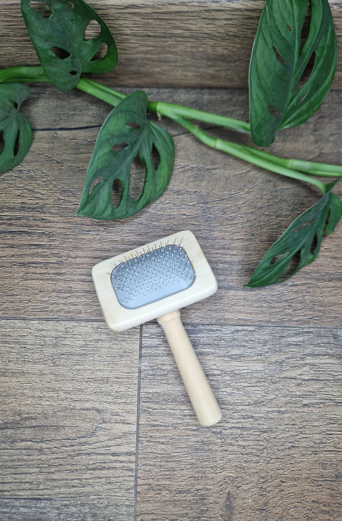 Brosse en bois