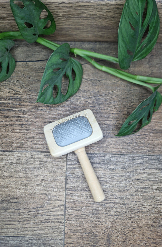 Brosse en bois