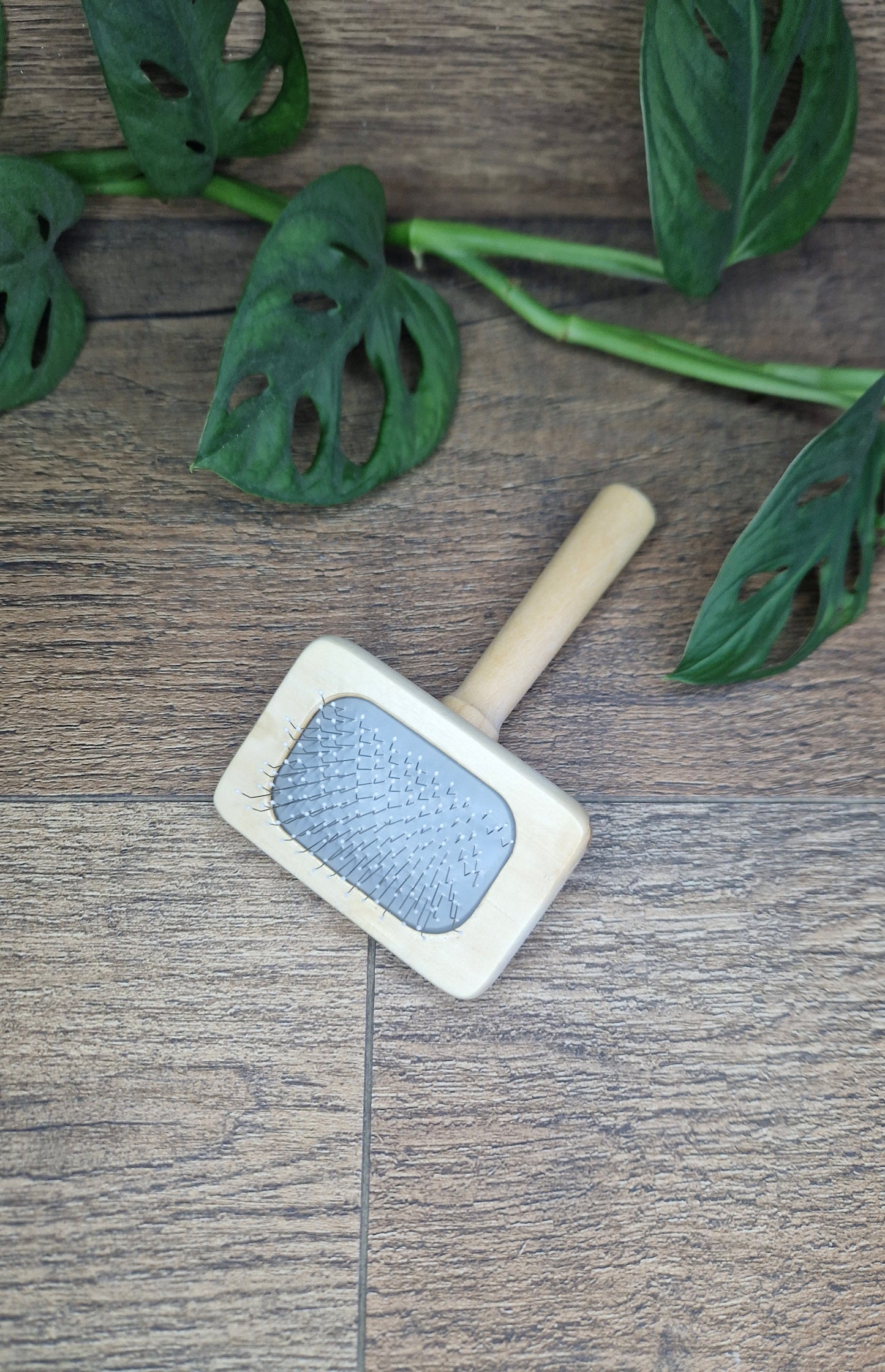 Brosse en bois