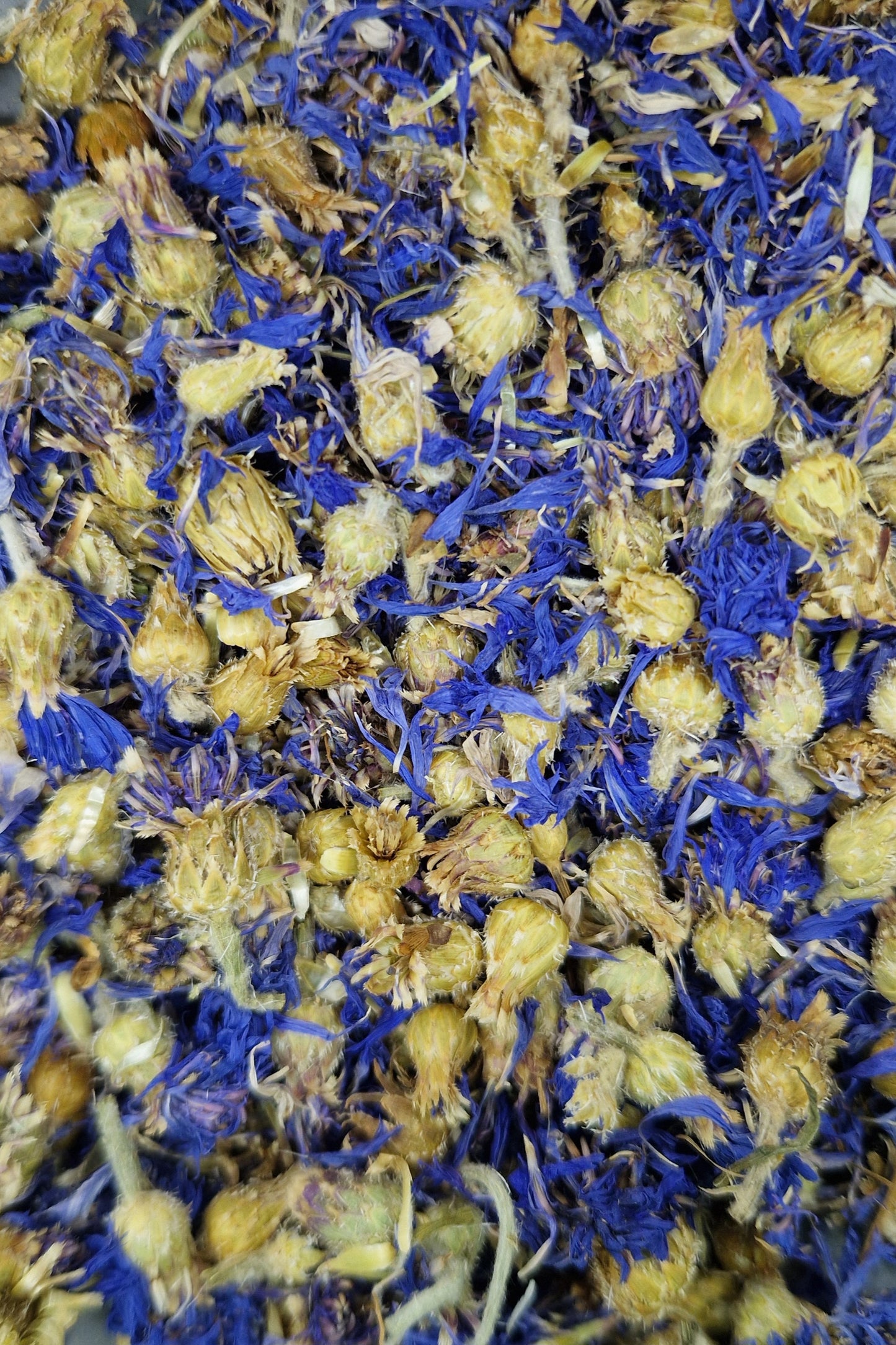 Fleurs de bleuet bleu 100g