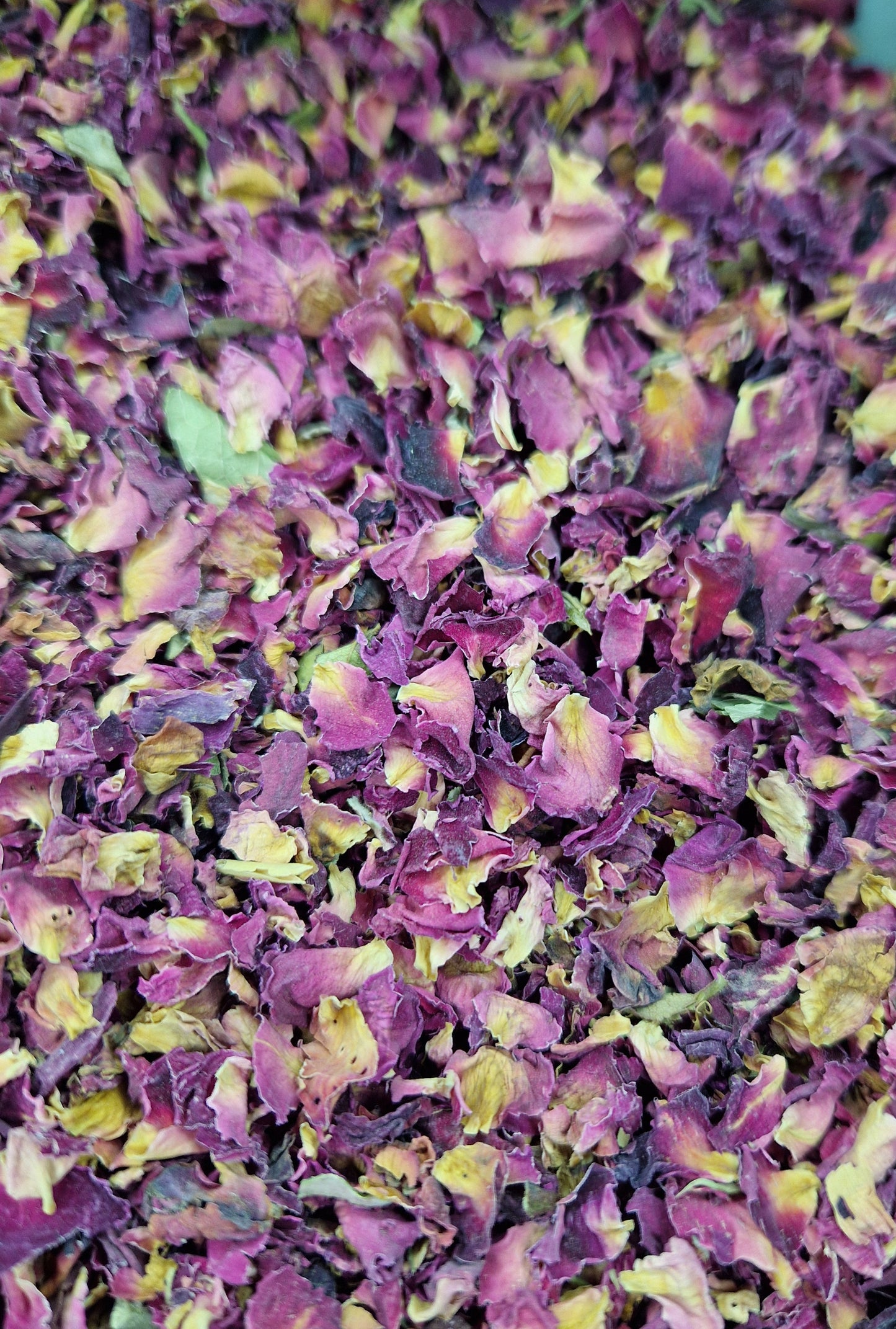 Pétales de rose 100g