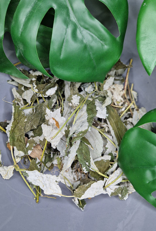 Feuilles de framboisier 100g