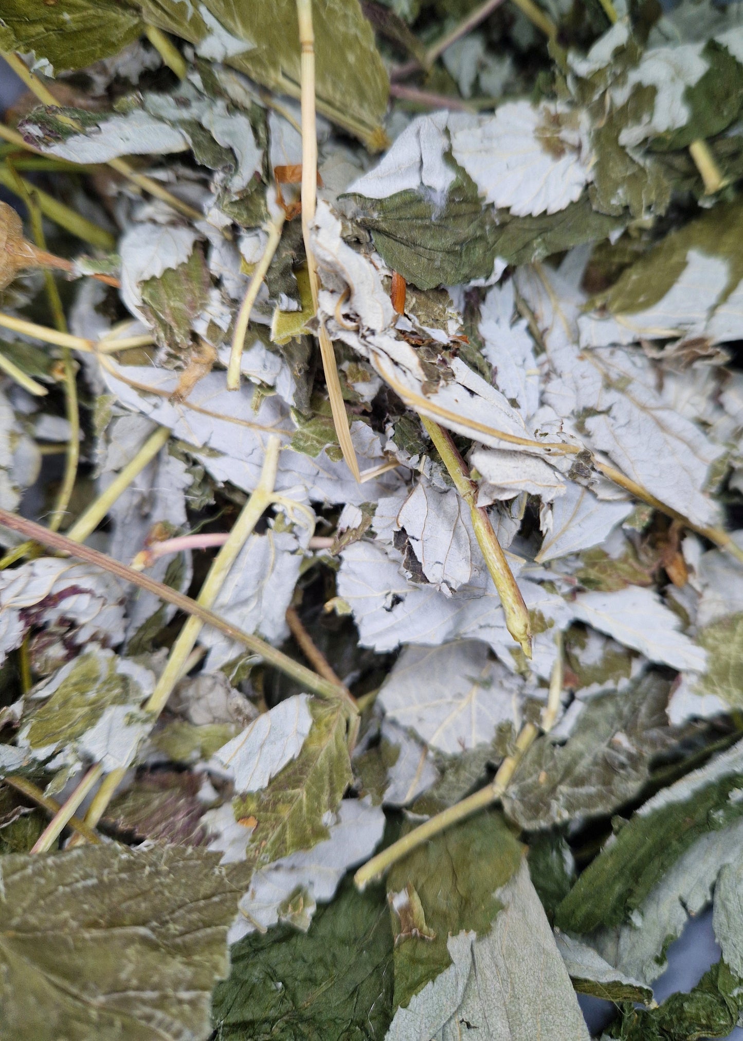 Feuilles de framboisier 100g