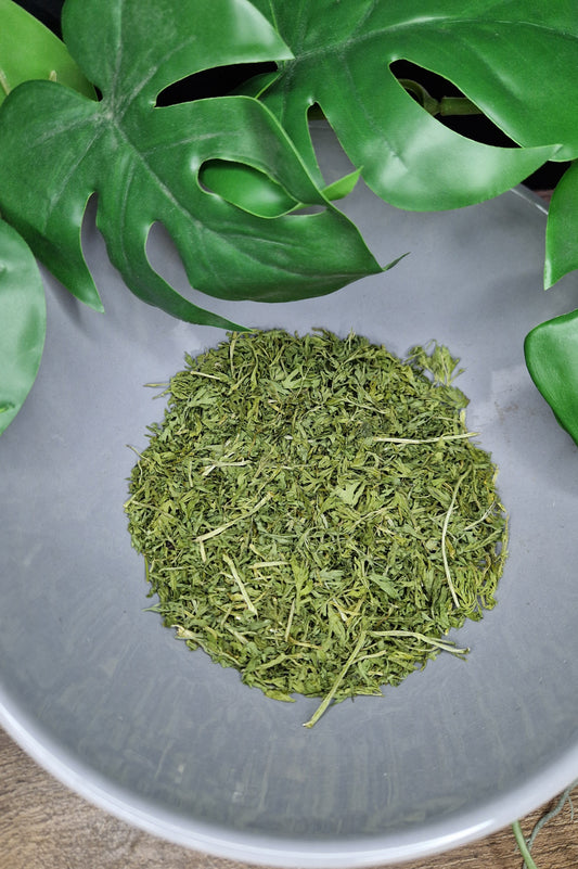 Fane de carotte 100g