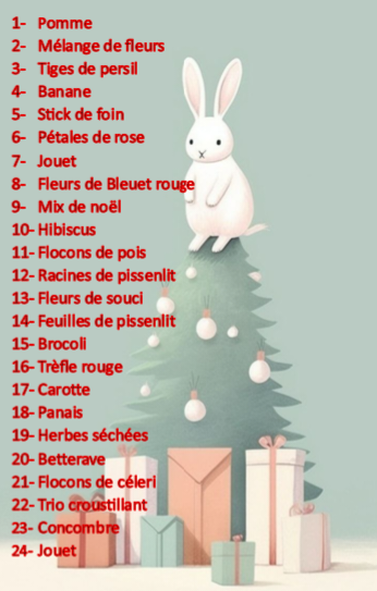 Prévente Calendrier de l'Avant 2025