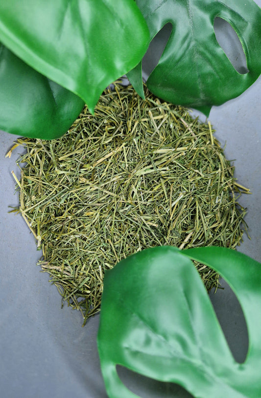 Tiges de Persil 100g