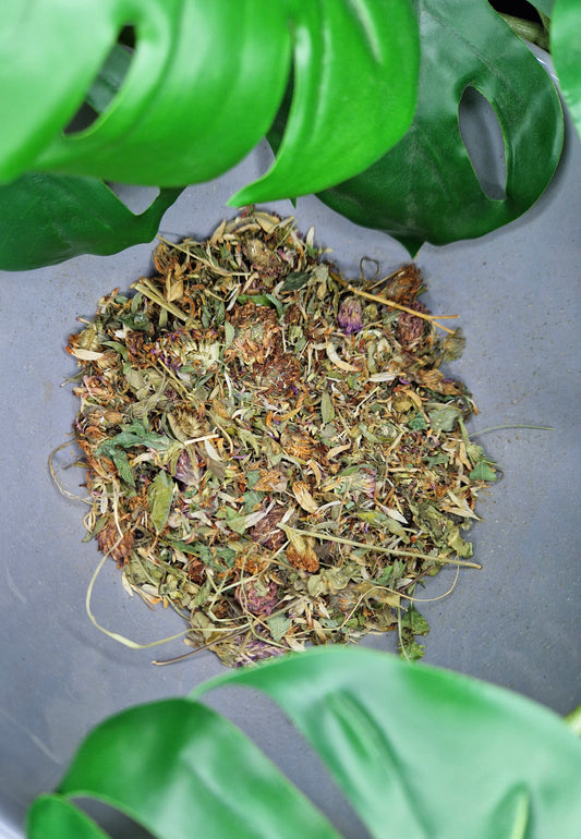 Fleurs de trèfle rouge 100g