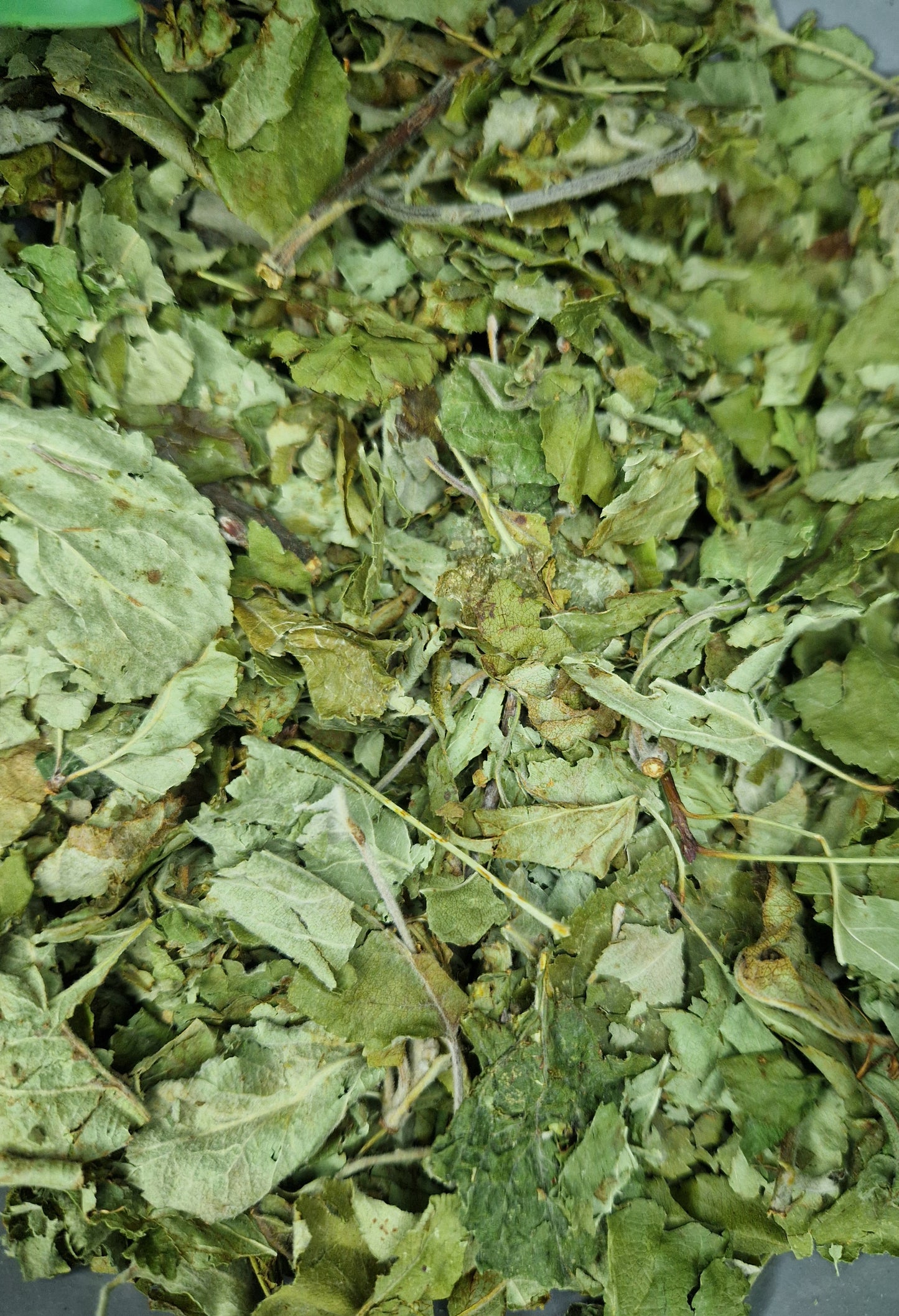 Feuilles de pommier 100g
