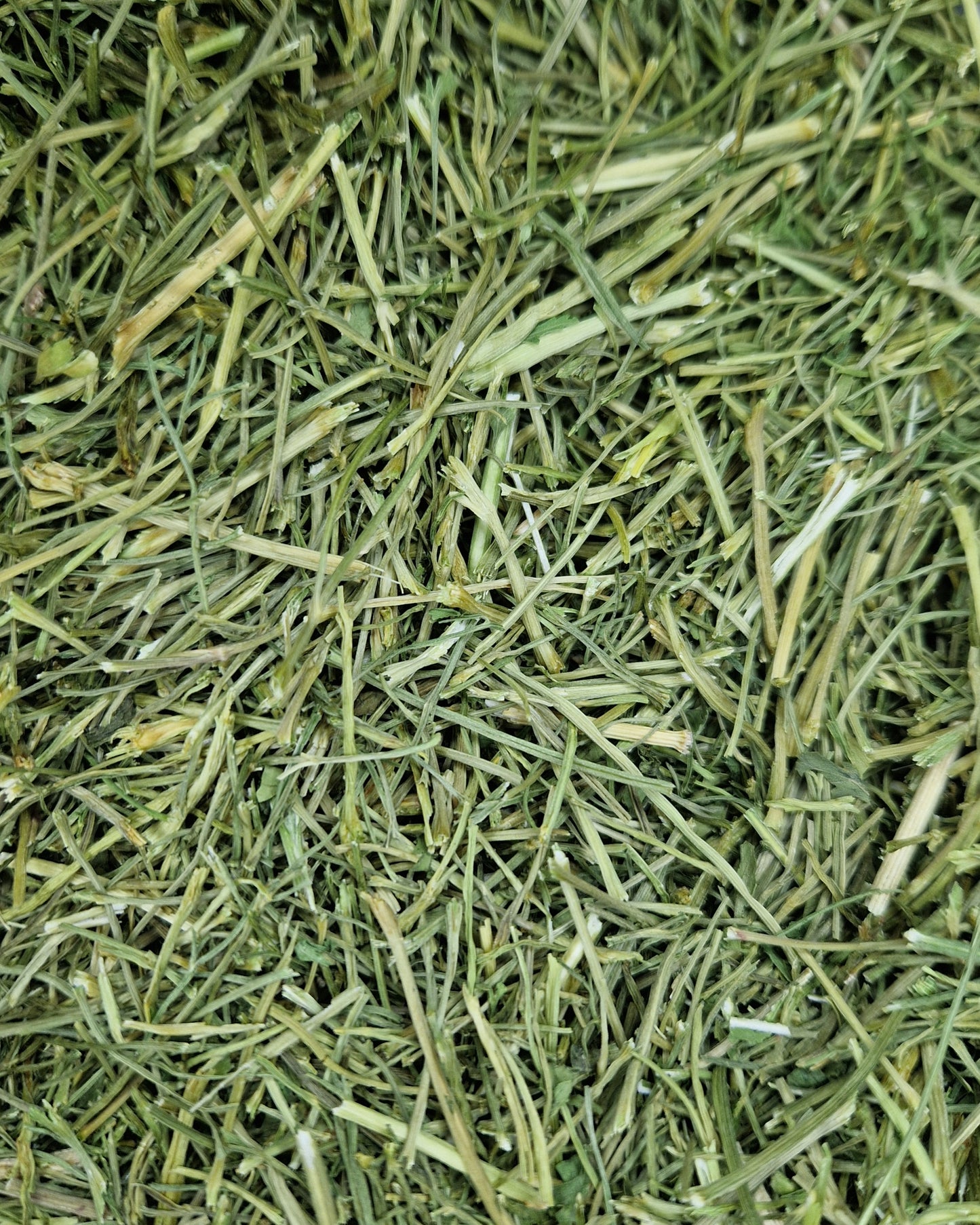 Tiges de Persil 100g